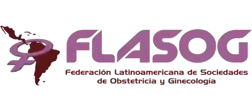 Logo FLASOG